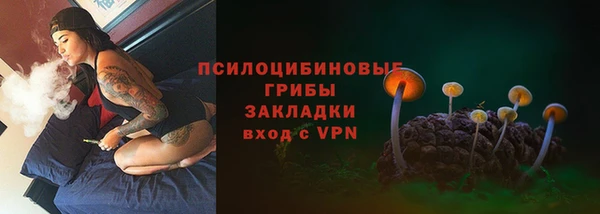 винт Тавда
