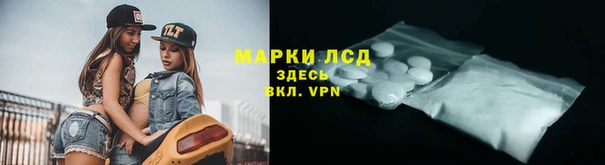молекула духа Тайга
