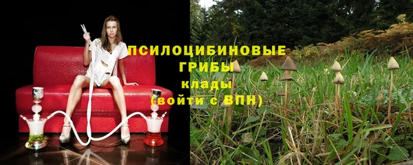 винт Тавда