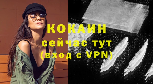 молекула духа Тайга