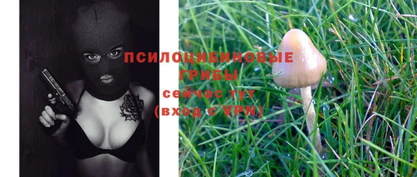 молекула духа Тайга