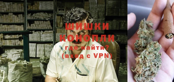 сатива Новосибирск