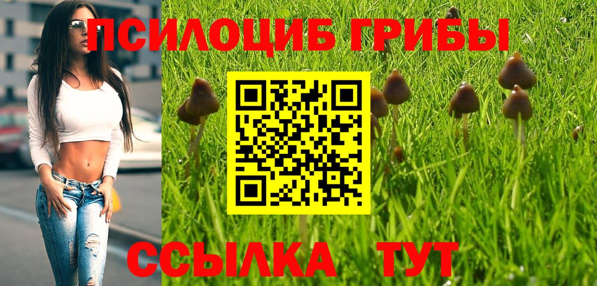 Галлюциногенные грибы Psilocybe  Вход с VPN  Абакан  Галлюциногенные грибы MAGIC MUSHROOMS 