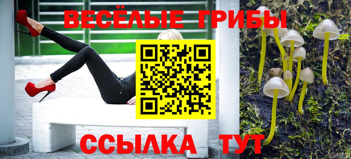 Галлюциногенные грибы мухоморы Абакан