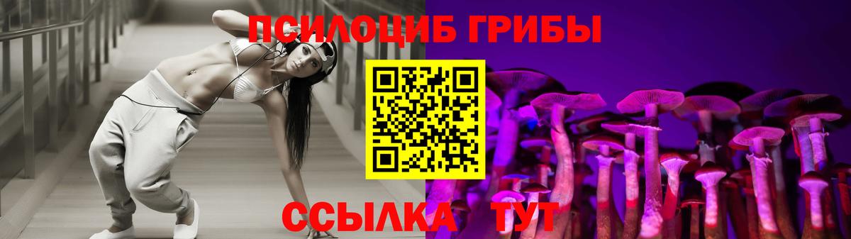 Галлюциногенные грибы GOLDEN TEACHER  Абакан  Галлюциногенные грибы Magic Shrooms 